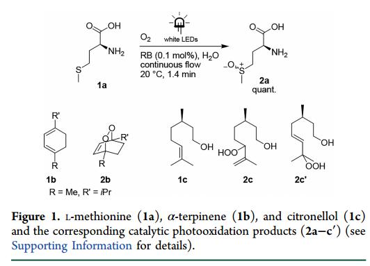 光催化氧化反應