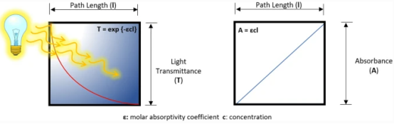 通過反應堆容器的光的衰減(透射率和吸收率)"" 通過反應堆容器的光的衰減(透射率和吸收率)