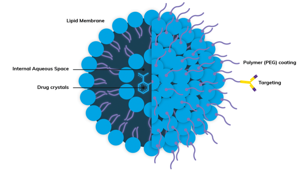 使用微流體流體動力學(xué)聚焦方法生成納米脂質(zhì)和脂質(zhì)體 使用微流體流體動力學(xué)聚焦方法生成納米脂質(zhì)和脂質(zhì)體