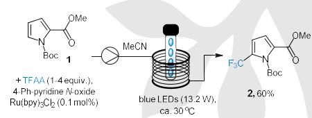 Ru 催化的光三氟甲基化 Ru 催化的光三氟甲基化