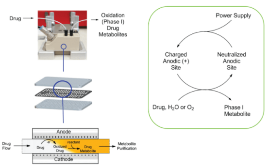 電化學反應 電化學反應