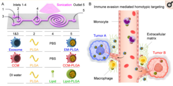 連續(xù)流微通道反應(yīng)器生產(chǎn)廠家 連續(xù)流微通道反應(yīng)器生產(chǎn)廠家