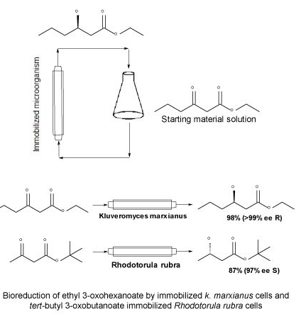 連續流微通道反應器生產廠家