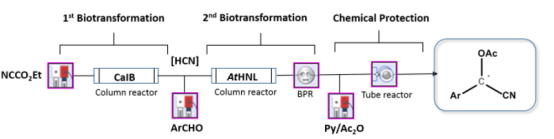 連續流微通道反應器生產廠家