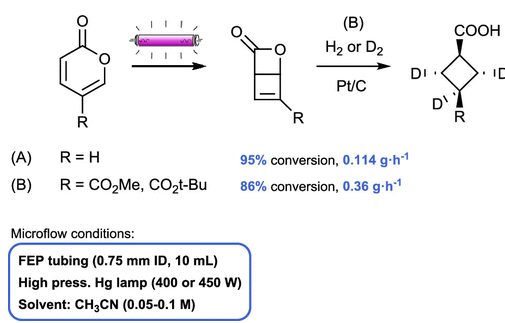 連續流微通道反應器生產廠家 連續流微通道反應器生產廠家