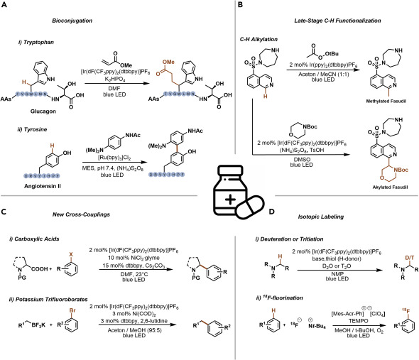 圖 2.藥物化學中感興趣的光催化反應的代表性例子(A-D)生物共軛(A)、后期 CH功能化(B)、C sp3 -C sp2交叉偶聯反應 (C)、同位素標記 (D)。