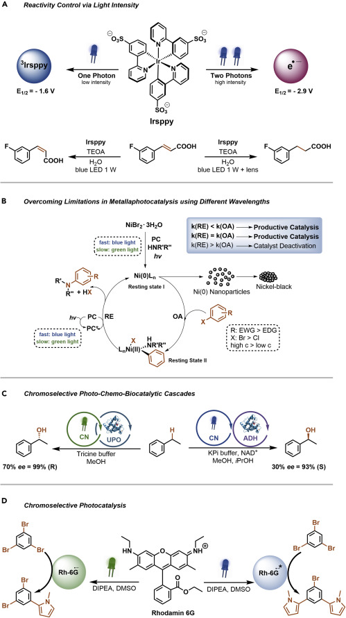 圖 5.通過控制光子的能量和強度來獲得不同的光催化活性(A-D)通過光強度 (A)控制銥光催化劑的反應性。 通過改變波長（B）來克服使用氮化碳光催化的金屬光催化的局限性。與氮化碳光催化劑 (C) 的色選擇性光化學酶促級聯反應。羅丹明 6G (D)的色選擇性光催化。