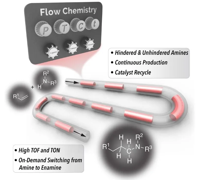 在連續分段流動反應器中加速受阻胺氫氨基甲基化的可回收協同催化劑 在連續分段流動反應器中加速受阻胺氫氨基甲基化的可回收協同催化劑