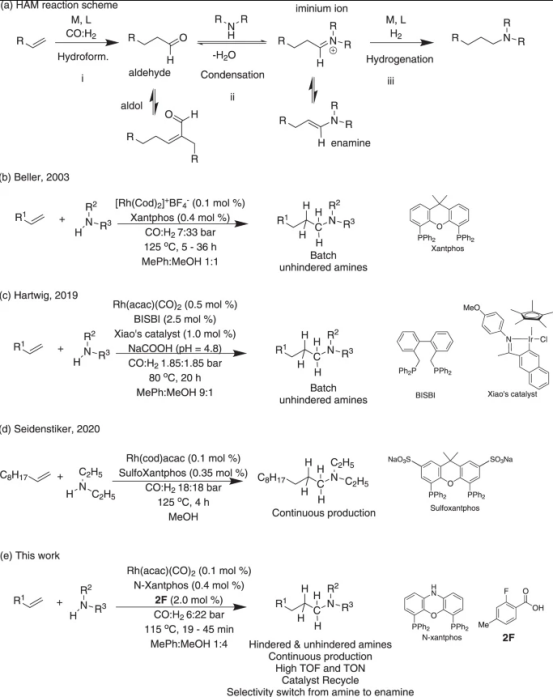 圖1、HAM 反應方案和先前 HAM 工作與本工作的總結 圖1、HAM 反應方案和先前 HAM 工作與本工作的總結