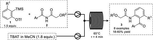 圖1.連續(xù)流Aryne–Imide Insertion 圖1.連續(xù)流Aryne–Imide Insertion