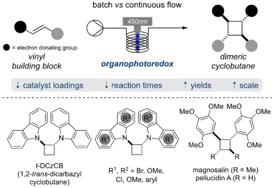 使用有機光氧化還原催化的 [2+2]-環加成在連續流動條件下形成二聚環丁烷