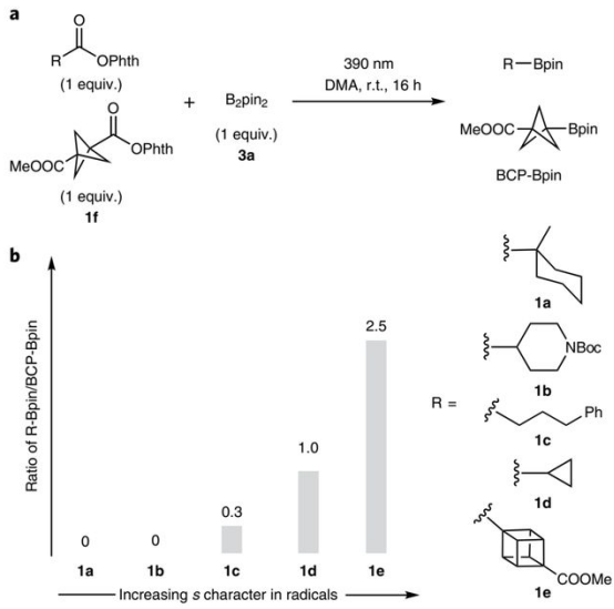Fig.2各種烷基自由基與B2pin2反應的競爭實驗(圖片來源:Nat. Chem.) Fig.2各種烷基自由基與B2pin2反應的競爭實驗(圖片來源:Nat. Chem.)