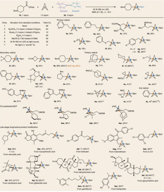 Table1.由氧化還原活性酯合成BCP-硼酸衍生物(圖片來源:Nat. Chem.) Table1.由氧化還原活性酯合成BCP-硼酸衍生物(圖片來源:Nat. Chem.)