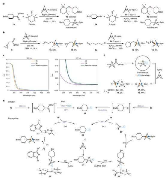 Fig. 4反應機理研究(圖片來源:Nat. Chem.) Fig. 4反應機理研究(圖片來源:Nat. Chem.)