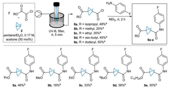 BCP新物種的合成 BCP新物種的合成