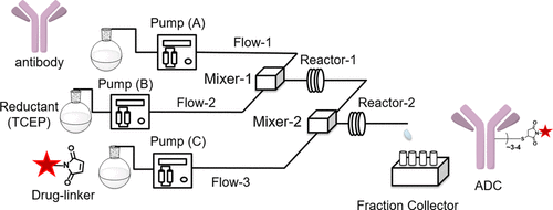 使用連續(xù)流微反應器技術合成抗體-藥物偶聯物