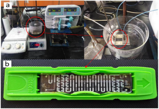 圖1.( a ) 在微反應器中生產 GNP 的實驗裝置 ( b ) 具有兩個入口和兩個出口的硼硅酸鹽玻璃微反應器。