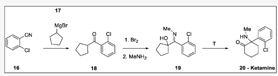 圖6. Parke–Davis and Company 1956年合成的氯胺酮:16-鄰氯苯甲腈、17-環戊基溴化鎂、18- (2-氯苯基)(環戊基)甲酮、19- (2-氯苯基)(甲基亞氨基)甲基環戊烷-1- ol, 20 —氯胺酮。  圖6. Parke–Davis and Company 1956年合成的氯胺酮:16-鄰氯苯甲腈、17-環戊基溴化鎂、18- (2-氯苯基)(環戊基)甲酮、19- (2-氯苯基)(甲基亞氨基)甲基環戊烷-1- ol, 20 —氯胺酮。