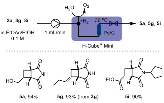 Scheme 3: 環丁烯的流動加氫。