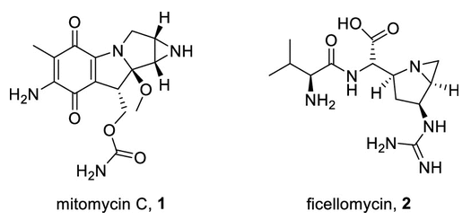 圖 1. 絲裂霉素和非昔羅霉素的結構。 圖 1. 絲裂霉素和非昔羅霉素的結構。