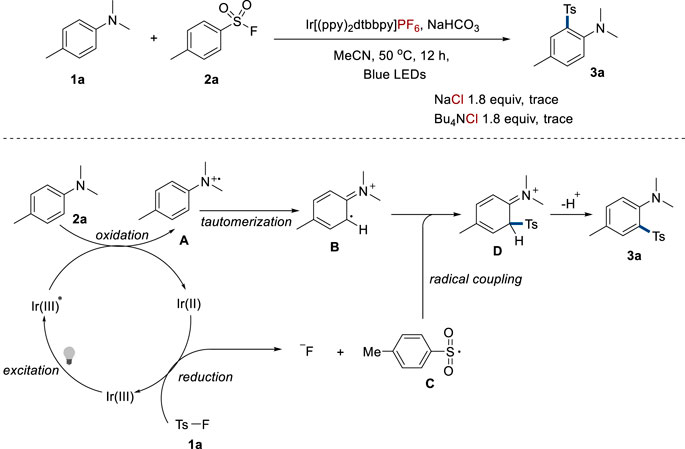 擬議機(jī)制(A) 自由基陽離子中間體。 (B) 互變中間體。 (C)磺酰基。 (D) 自由基耦合產(chǎn)物。 擬議機(jī)制(A) 自由基陽離子中間體。 (B) 互變中間體。 (C)磺酰基。 (D) 自由基耦合產(chǎn)物。