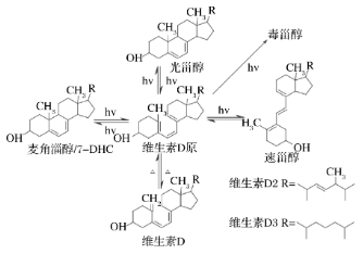 圖2 VD的光化學反應 圖2 VD的光化學反應