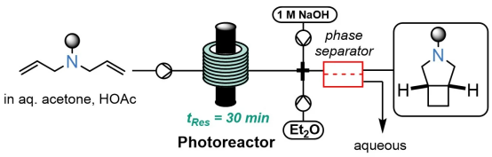 通過連續流工藝實現未活化烯烴的無金屬 [2+2] 光環加成反應