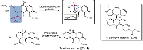 圖 1:Shionogi Pharma 的 BXM 方法概述 圖 1:Shionogi Pharma 的 BXM 方法概述