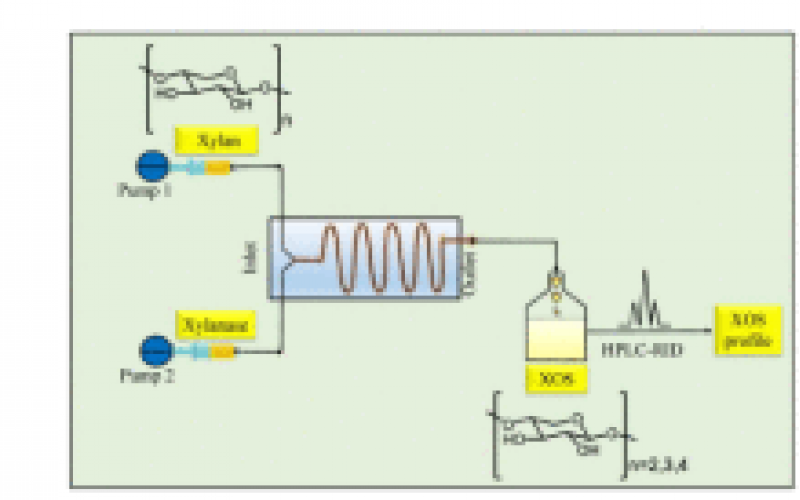 酶促水解連續生產木寡糖