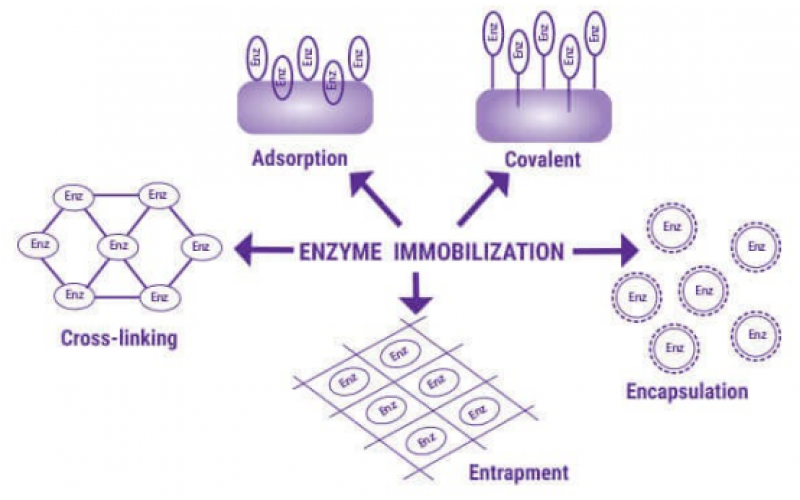 生物催化在連續(xù)流動中的興起