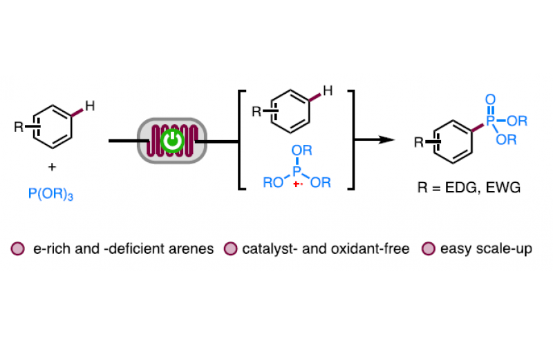 廈門大學徐海超課題組Nat. Commun.： 連續流動條件下的電化學芳香C-H膦酸酯化方法學