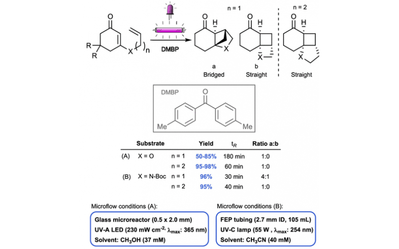 有機合成光化學的技術創新二：流動光化學 -光環加成