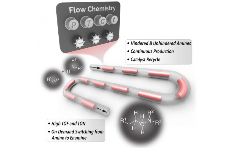 更便宜、更快速的連續生產胺類化合物的新方法——許多產品中使用的化學基礎材料