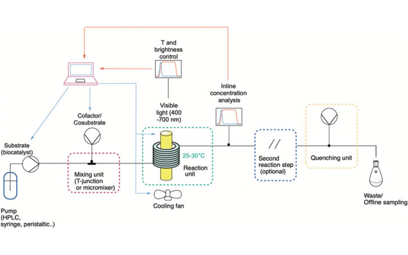 連續流動中的光生物催化