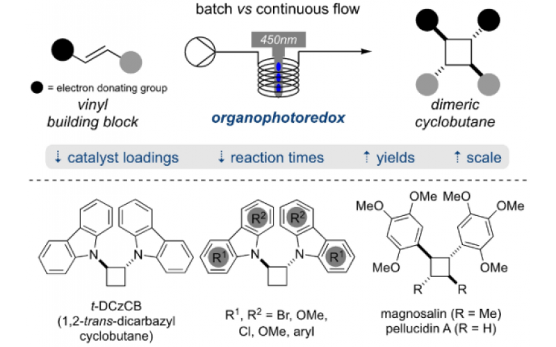 使用有機光氧化還原催化的 [2+2]-環加成在連續流動條件下形成二聚環丁烷