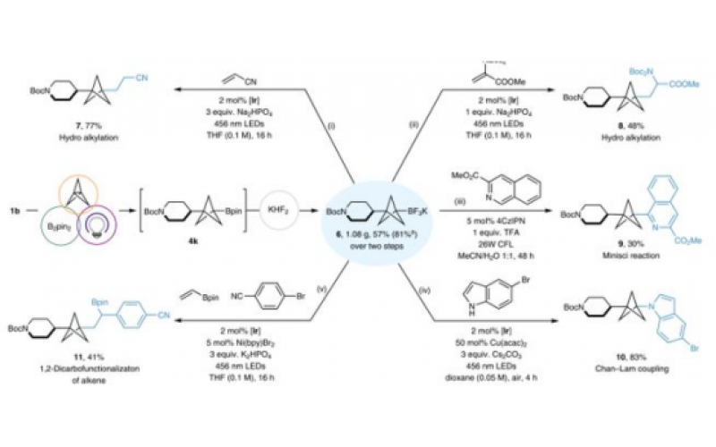 用于化學(xué)合成的微流控芯片實(shí)驗(yàn)室技術(shù)