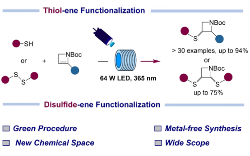 通過硫醇和二硫化物連續流光化學加成在氮雜環丁烷環上形成C-S鍵