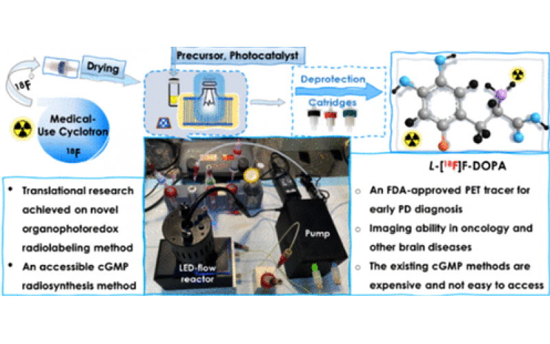 通過流動化學增強光氧化還原放射性氟化法制造6-[18F]Fluoro-L-DOPA