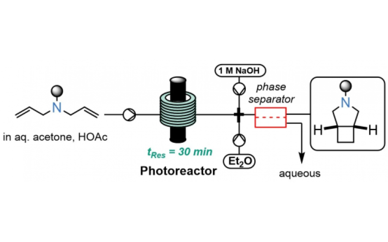 通過連續(xù)流工藝實現(xiàn)未活化烯烴的無金屬 [2+2] 光環(huán)加成反應