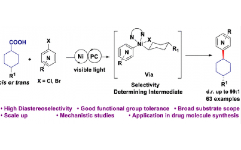流動化學有利于將規模擴大至 200 mmol，同時保持出色的立體選擇性和產量